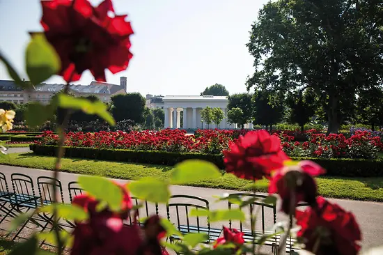 Rose garden in Volksgarten 