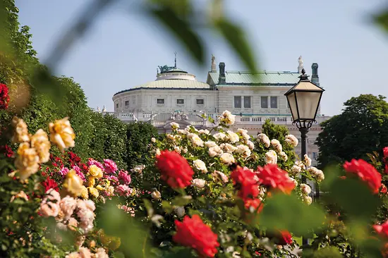 Roses in the Volksgarten with the Burgtheater in the background