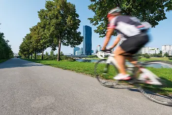 Cyclists on the Danube Island