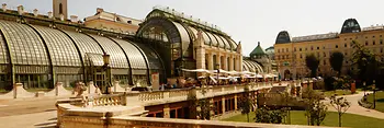 Widok na Palmiarnię w ogrodzie publicznym Burggarten