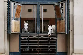 Ecole d’Equitation espagnole 