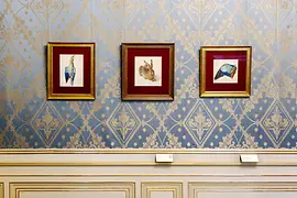 Albertina, Albrecht Dürer, Le Lièvre