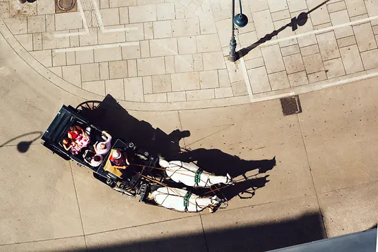 Horse-drawn carriage from above