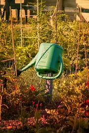 Watering can hanging in a garden