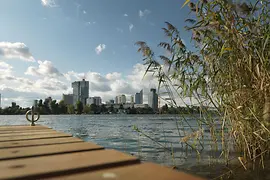 Footbridge on the Old Danube