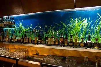 Bar à cocktail firstfloor