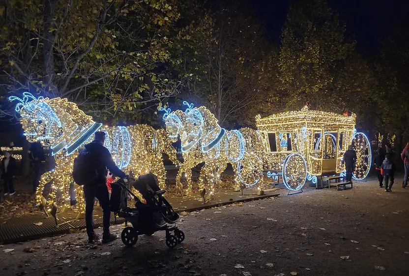 夜のライトショー