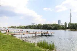 Footbridge in the water of the Danube