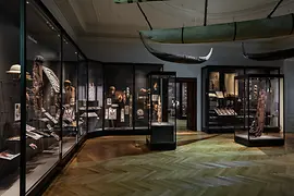 View inside the South Sea exhibition hall with boat hanging from the ceiling