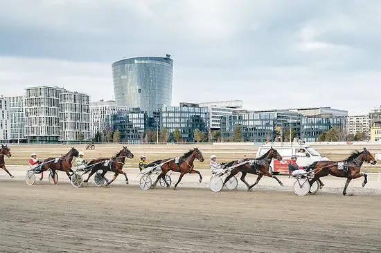 Course de trot à l'hippodrome de Krieau