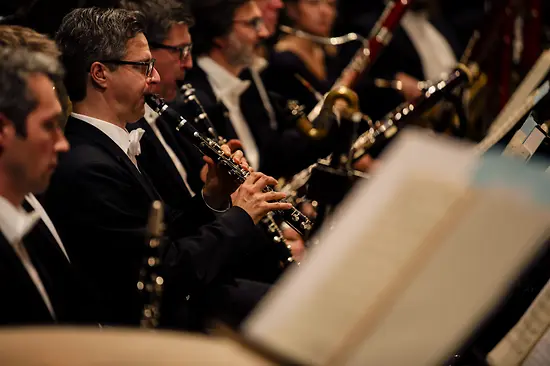 Concert by the Vienna Symphony Orchestra at the Vienna Konzerthaus